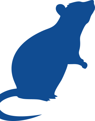 vetor ilustrativo sobre