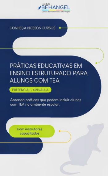 imagem Práticas Educativas Em Ensino Estruturado Para Alunos Com TEA